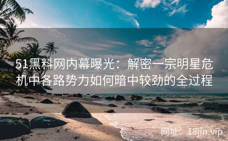 51黑料网内幕曝光：解密一宗明星危机中各路势力如何暗中较劲的全过程
